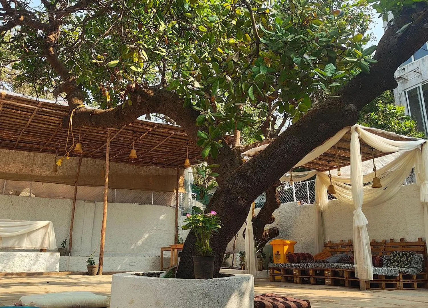 Where to Stay Near Chapora River: 12 Best Budget Hotels in Siolim