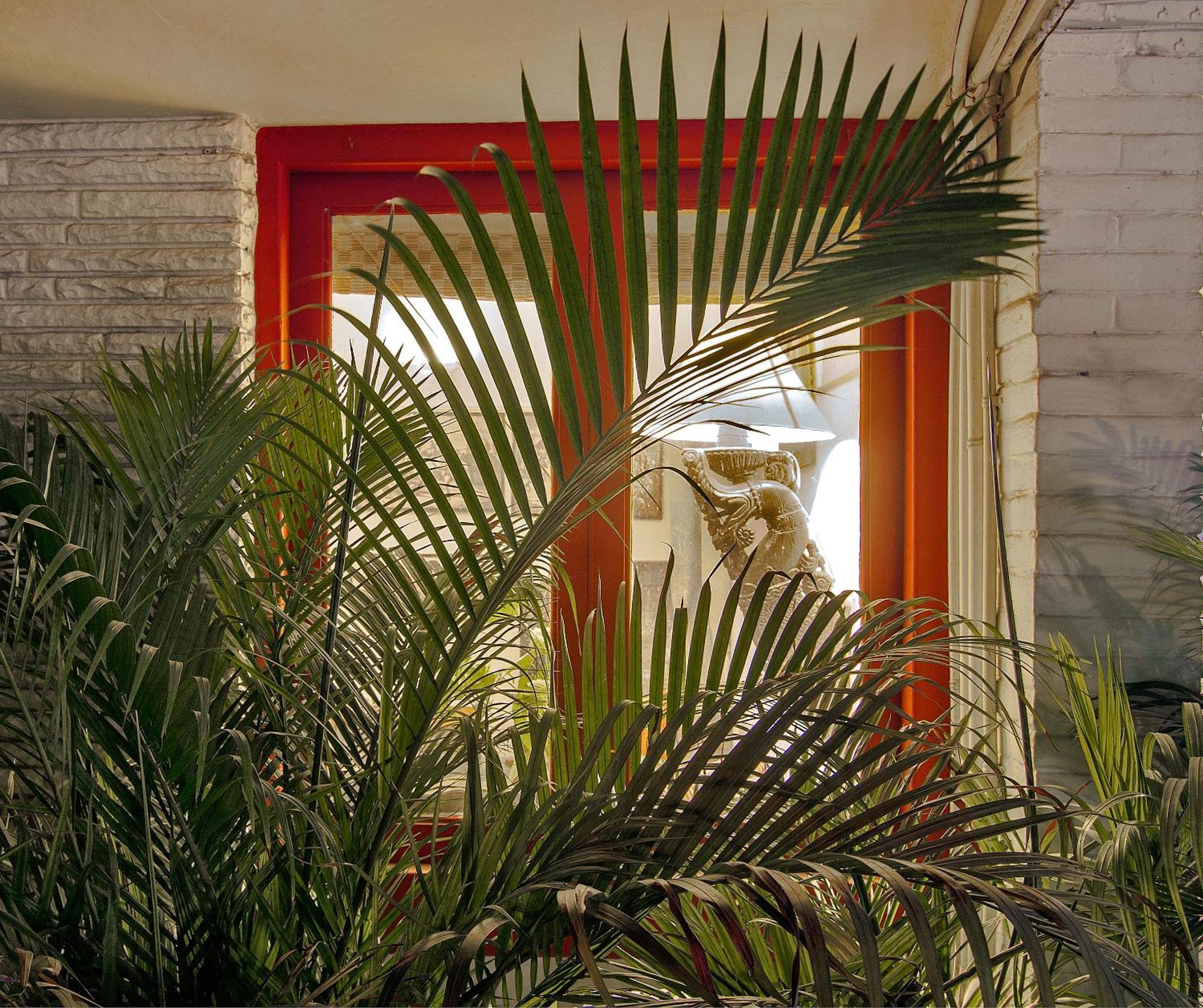 4 Top-Rated Apartments & B&Bs in South Delhi Worth Booking