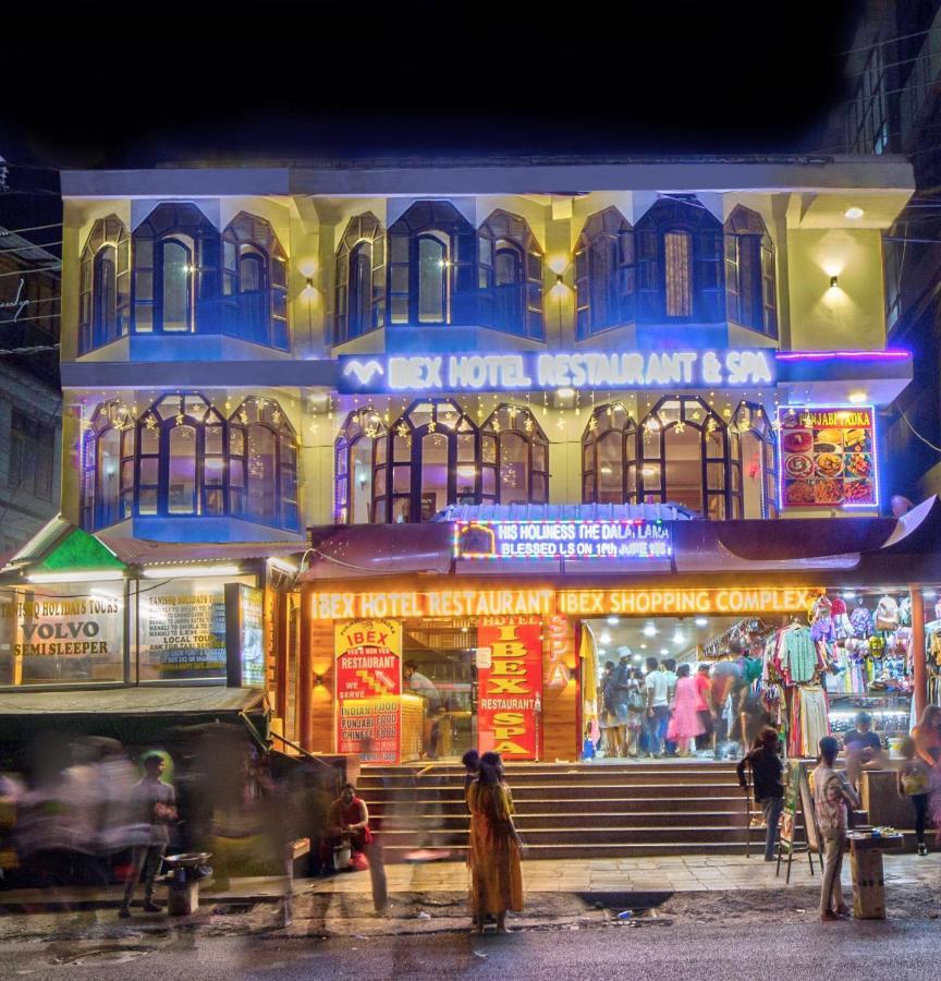 4 Budget Hotels Near Solang Valley Worth Booking