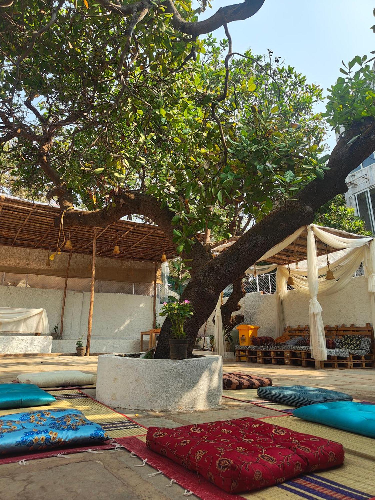 Where to Stay Near Chapora River: 12 Best Budget Hotels in Siolim
