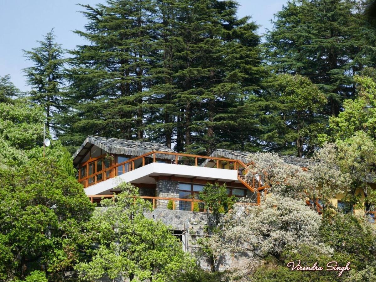 7 Smart Apartments & B&Bs in North Zone India Worth Booking